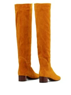 Femme Giuseppe Zanotti Bottes Clelia -Salvatore Ferragauio Magasin 14713227 26309445 1000