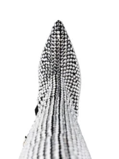 Femme Philipp Plein Bottes Strass CowBoy 9 Femme Philipp Plein Bottes Strass CowBoy -Salvatore Ferragauio Magasin 18559655 41022585 1000