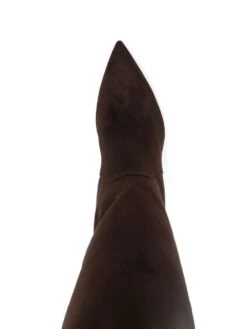 Femme René Caovilla Bottes 100 Mm à Bout Pointu -Salvatore Ferragauio Magasin 18900015 42048908 1000