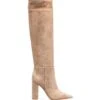 Femme Gianvito Rossi Bottes En Daim à Bout Pointu 105 Mm 2 Femme Gianvito Rossi Bottes En Daim à Bout Pointu 105 Mm -Salvatore Ferragauio Magasin 19137457 41902299 1000