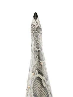 Femme Alessandra Rich Bottes à Imprimé Peau De Serpent 9 Femme Alessandra Rich Bottes à Imprimé Peau De Serpent -Salvatore Ferragauio Magasin 19312277 44676556 1000