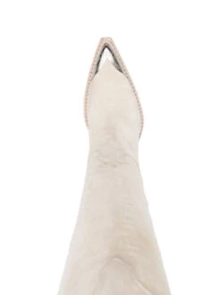 Femme Paris Texas Bottes à Bout Pointu 100 Mm -Salvatore Ferragauio Magasin 19590604 43734637 1000